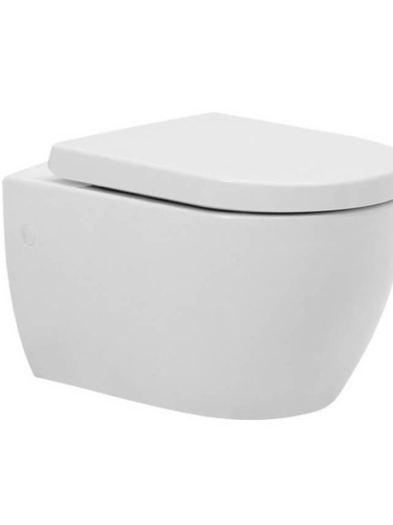 Ceramic Wall Mount Toilet
