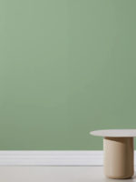 Green Wall Paint