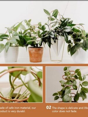 Plant-Climbing-Rack-Plant-Trellis-Rustproof-Multifunctional-Metal-Vine-Growth-Climbing-Rack-Garden-Supplies-1