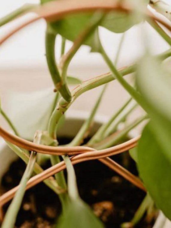 Plant Climbing Rack Plant Trellis Rustproof Multifunctional Metal Vine Growth Climbing Rack Garden Supplies